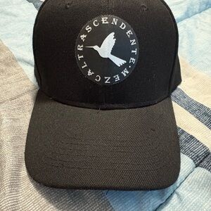 Hummingbird Black Cap with White Logo